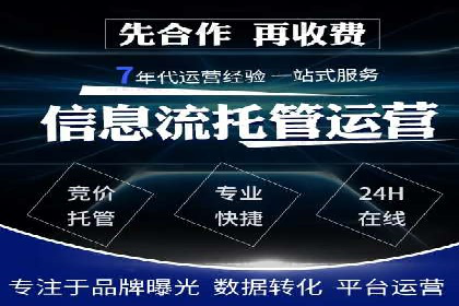 企业SEM服务实战案例解析