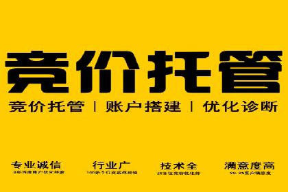 百度SEM推广案例：揭秘行业领军企业的成功之路